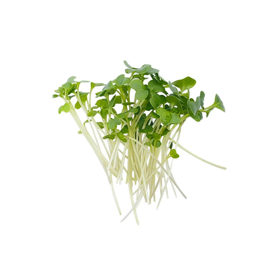Broccoli microgreens