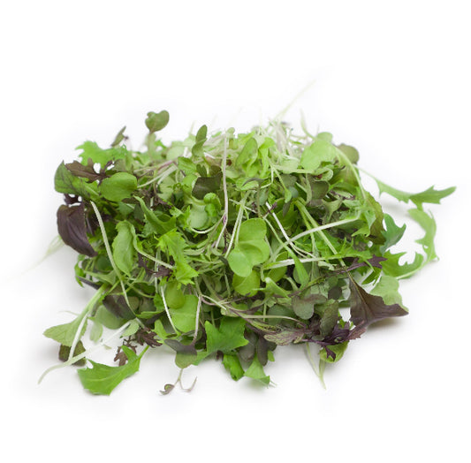 Mizuna mix microgreens