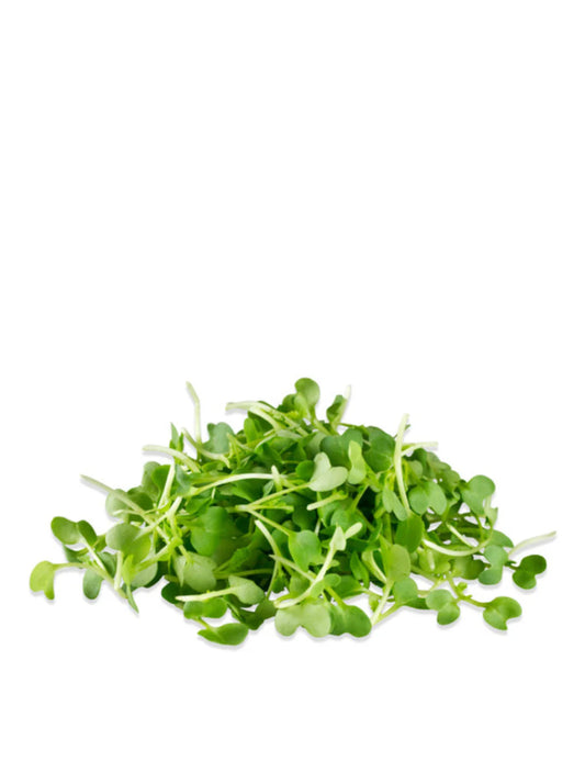 Mustard Wasabi microgreens