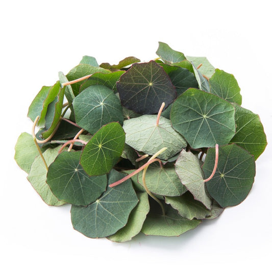 Microgreens
