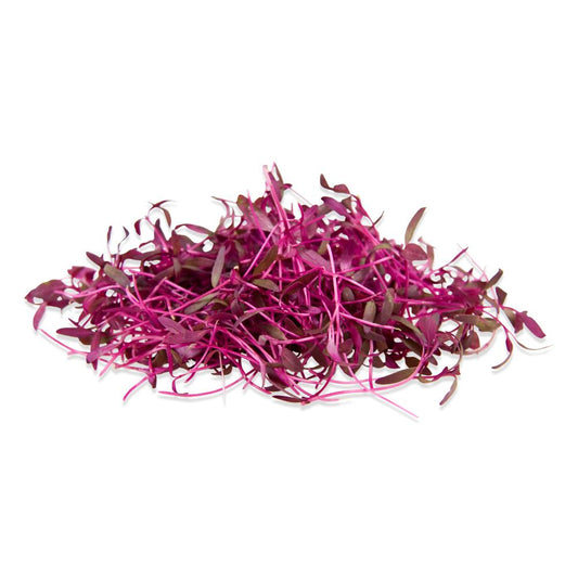 Amaranth microgreens