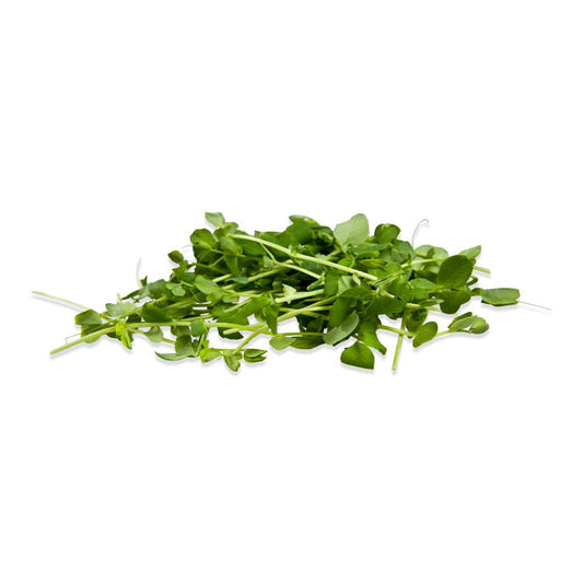 Pea-green microgreens